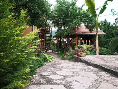 a house with a stone walkway in front of a yard at Apartman i Studio Stefan Nemanja Sokobanja in Soko Banja