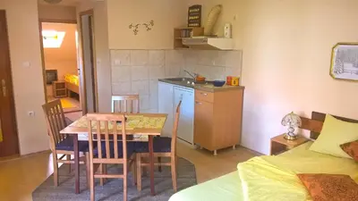a kitchen and dining room with a table and chairs at Apartman i Studio Stefan Nemanja Sokobanja in Soko Banja