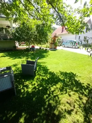 a yard with a chair in the shade of a tree at Domaćinstvo Trifunović in Pretrešnja