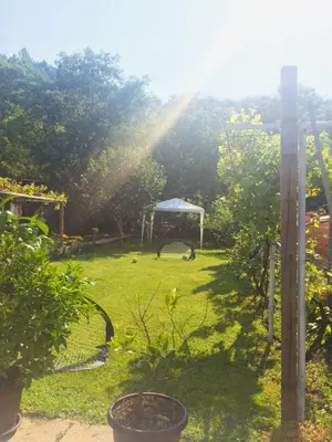 a garden with a gazebo in a yard at Domaćinstvo Trifunović in Pretrešnja