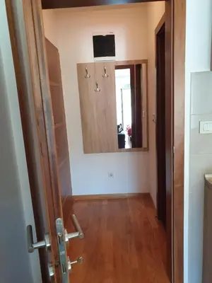 a hallway with a mirror and a wooden door at Happy in Vrnjačka Banja