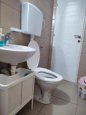 a bathroom with a toilet and a sink at Banjica 2 in Soko Banja