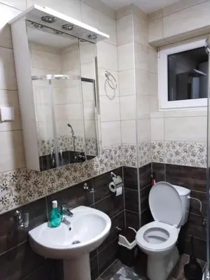 a bathroom with a toilet and a sink at Apartman Radmanovac 2 in Vrnjačka Banja