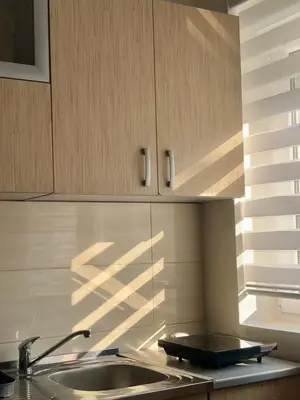 a kitchen with a sink and wooden cabinets at Apartman Radmanovac 2 in Vrnjačka Banja