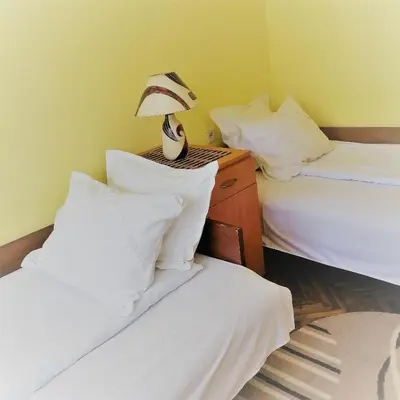 a bedroom with two beds and a lamp on a dresser at Apartmani Arsic in Vrnjačka Banja