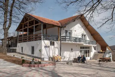 a large white house with a large roof at KONAK LJUBICA Rtanj in Boljevac