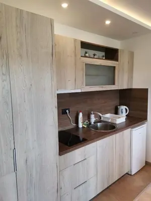 a kitchen with a sink and a wooden wall at AM apartments in Kopaonik