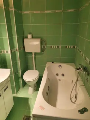 a green bathroom with a toilet and a bath tub at Stankovic apartman in Niš