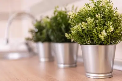 three silver potted plants sitting on a kitchen counter at Studio Borići in Soko Banja