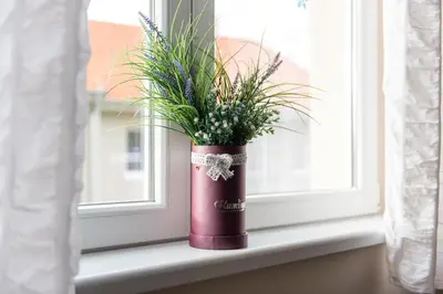 a potted plant sitting on a window sill at Studio Borići in Soko Banja