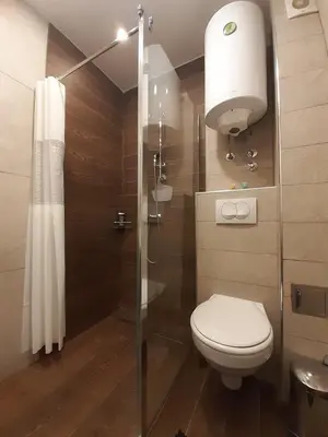 a bathroom with a toilet and a shower at Kopaonik Milmari L42 in Kopaonik