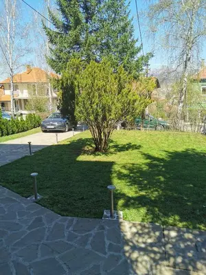 a tree in the middle of a green field at Vila Breza in Soko Banja