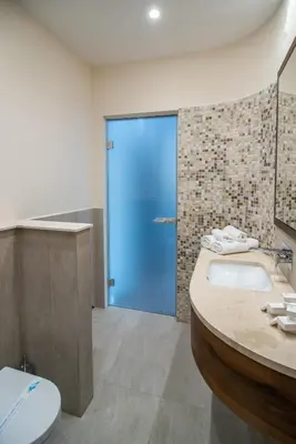 a bathroom with a toilet and a blue door at Vila Emilia in Vrnjačka Banja