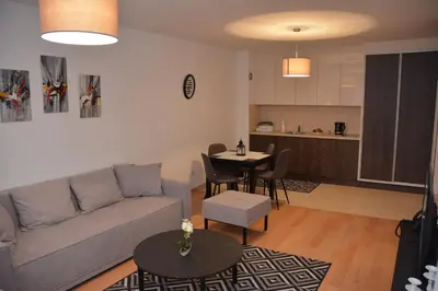a living room with a couch and a table at Apartman Favorito 327 in Vrnjačka Banja