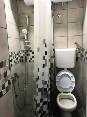 a bathroom with a toilet and a shower at Niš Apartman Lux in Niš