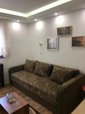 Gallery image of Sunny Hill Apartments - Vila Yeti in Kopaonik