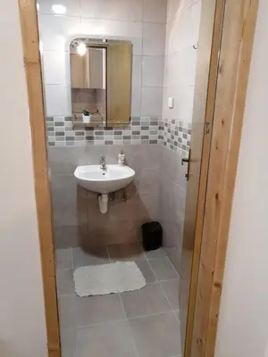 a bathroom with a sink and a mirror at Apartmani & SPA Matin Breg in Jošanička Banja