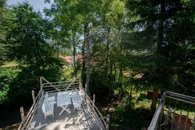 an overhead view of a wooden bridge in the woods at Apartmani Sunčev breg Vlasinsko jezero in Surdulica