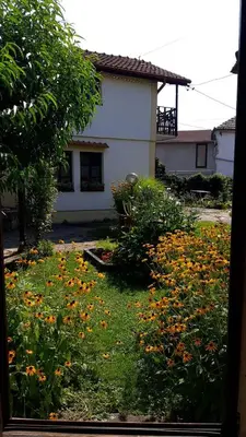 a yard with flowers in front of a house at Garičkina kuća in Pirot