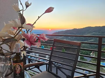 a table with a bottle of wine and a vase with flowers at Vistanova Milmari S33 in Kopaonik