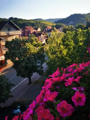a view of a street with pink flowers at Apartman Centar in Aleksandrovac