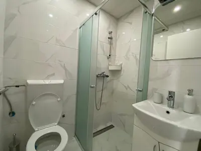 a bathroom with a shower and a toilet and a sink at Apartment 13 in Vrnjačka Banja