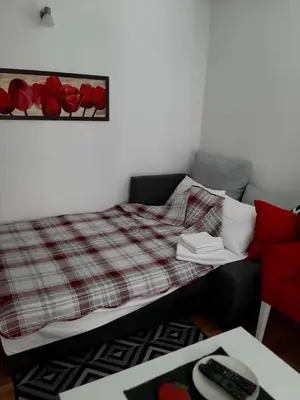 a bedroom with a bed with red flowers on the wall at Apartman OAZA in Vrnjačka Banja