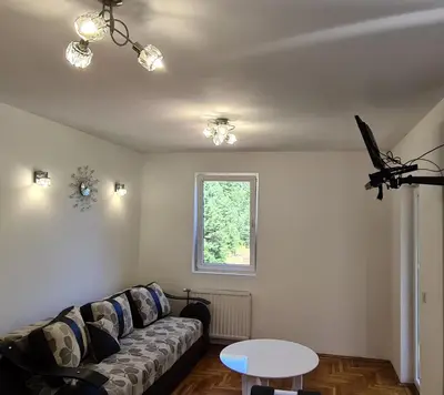 a living room with a couch and a table at Apartman u Brzecu - Kopaonik in Kopaonik