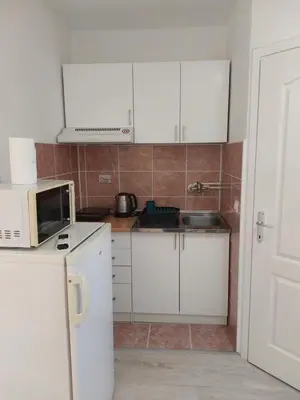a small kitchen with white cabinets and a microwave at Studio Andrijana Sokobanja in Soko Banja