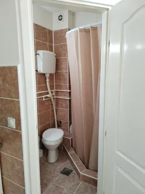 a small bathroom with a toilet and a shower at Studio Andrijana Sokobanja in Soko Banja