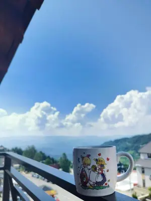 a coffee cup sitting on top of a balcony at Milmari Friends and Family in Kopaonik