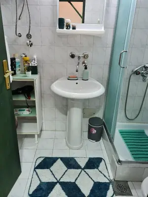 a small bathroom with a sink and a shower at Green door 2 in Vrnjačka Banja