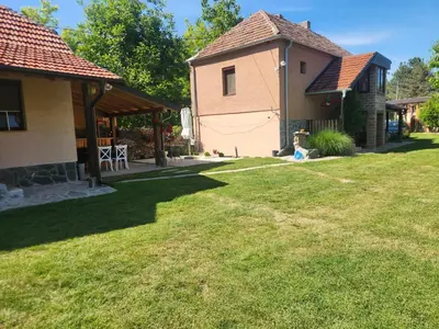 a backyard with a house and a yard with green grass at Dvor in Donja Toponica