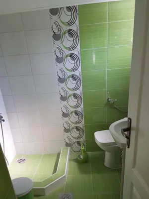 a green bathroom with a toilet and a sink at Studio Ivana 2 in Soko Banja