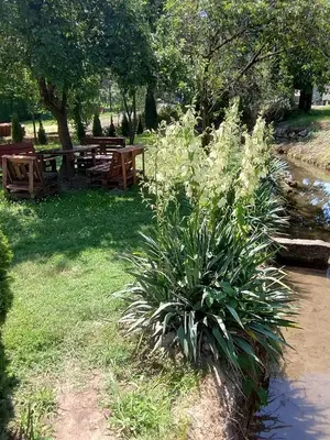 a park with picnic tables and a plant in the grass at Studio Ivana 2 in Soko Banja