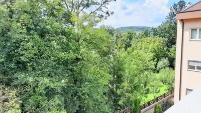 a view of a forest of trees from a balcony at Apartman Ana in Vrnjačka Banja