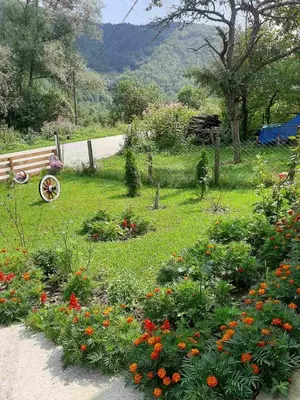 a park with a bench and flowers in the grass at Vikendice Mijajlović 1 in Kuršumlija