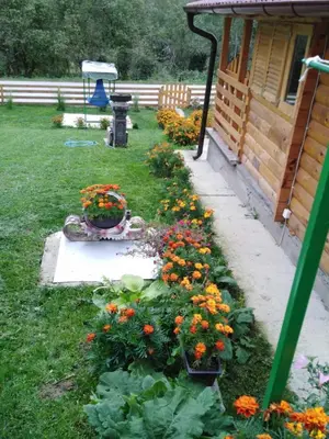 a garden with flowers in a yard next to a house at Vikendice Mijajlović 1 in Kuršumlija