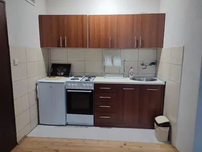 a small kitchen with a stove and a sink at Kuća za odmor Virtus Goč in Vrnjačka Banja