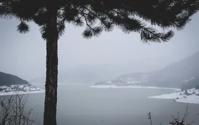 a view of a lake with a tree in the foreground at Vila Nemir Zavojsko jezero in Pirot