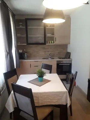 a kitchen with a table with a potted plant on it at KAMENA 6 in Kopaonik