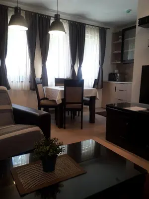 a living room with a couch and a table at KAMENA 6 in Kopaonik