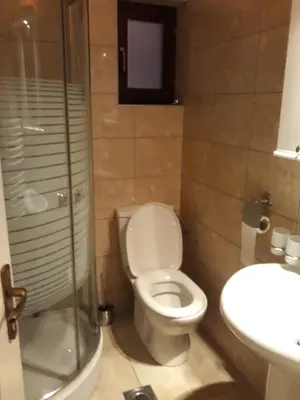 a bathroom with a toilet and a sink at Vila Tiha noc in Kopaonik