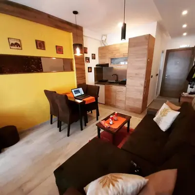 a living room with a couch and a table at Milmari Pahulja in Kopaonik