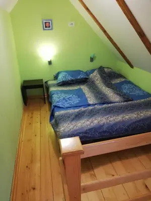 two beds in a room with green walls and wooden floors at Duplex lux in Kopaonik