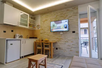a kitchen with a tv on a brick wall at Apartman Ristić in Vrnjačka Banja