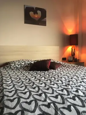 a bedroom with a bed with a black and white comforter at Milmari M12 in Kopaonik