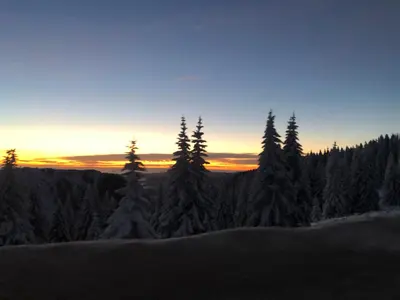 a group of trees on a hill with the sunset in the background at Milmari M12 in Kopaonik
