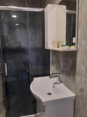 a bathroom with a white sink and a shower at Stojanović Apartments in Niš