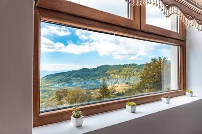 a window with three potted plants on a white ledge at Cicmilovic P63, Milmari Resort, Kopaonik in Kopaonik